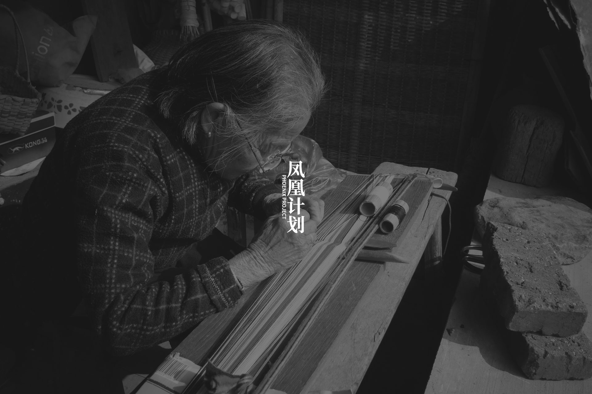 凤凰计划%2B