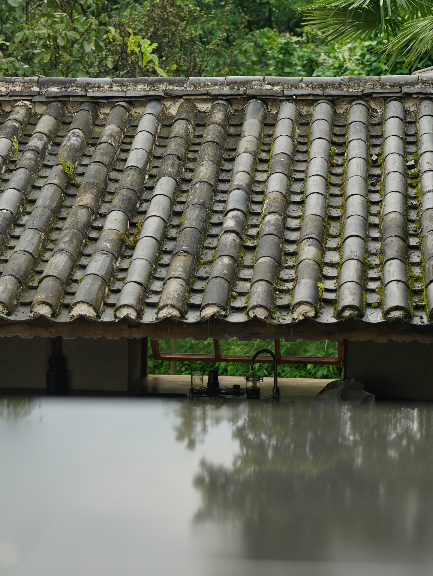 shaxiyuanzi266